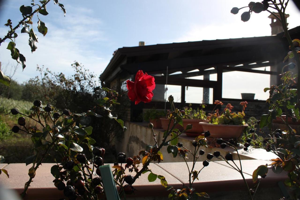 La Casa Di Bia Bed & Breakfast Corleone Exterior photo