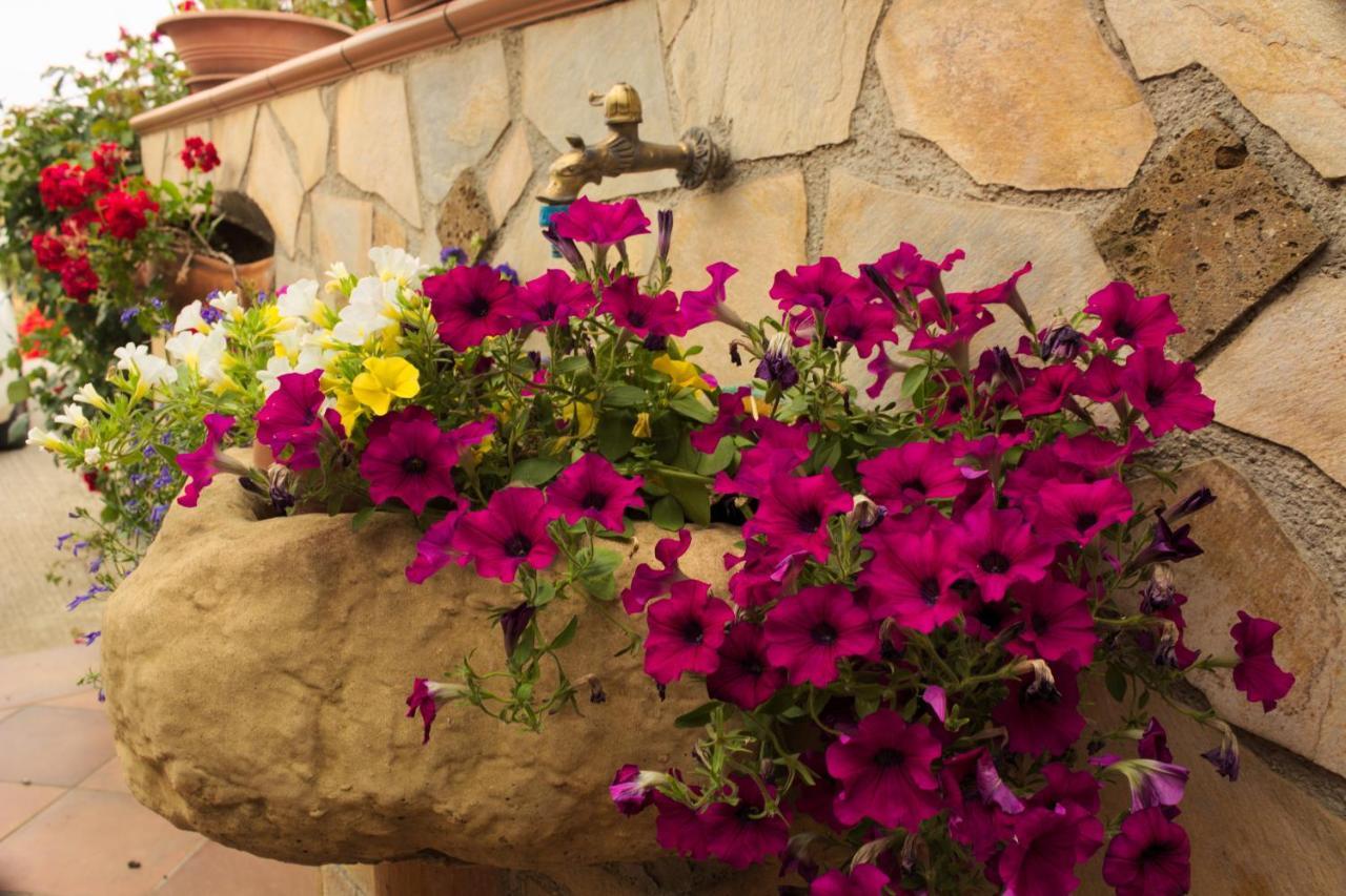 La Casa Di Bia Bed & Breakfast Corleone Exterior photo